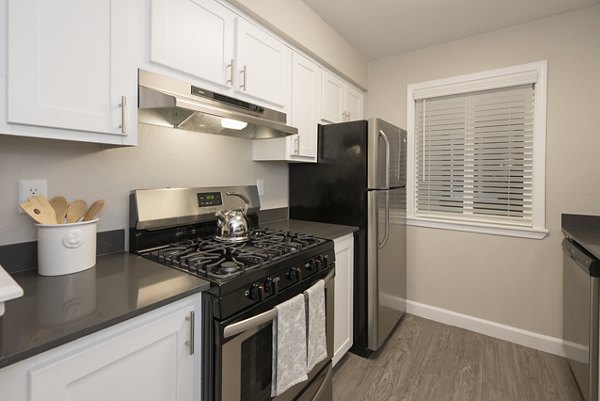 Modern kitchen with stainless steel appliances at The Hills Apartments