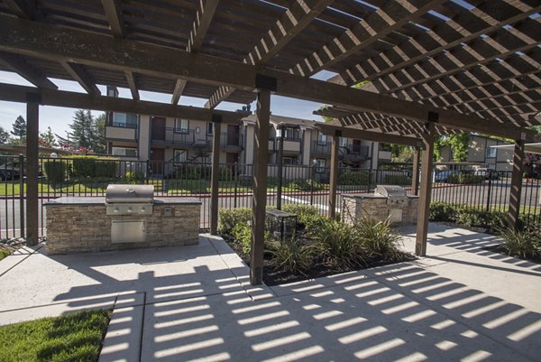 Outdoor grill area at The Hills Apartments featuring modern BBQ facilities and picnic seating