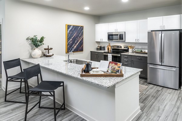 Modern kitchen with stainless steel appliances at Elan Sweetwater Creek luxury apartments
