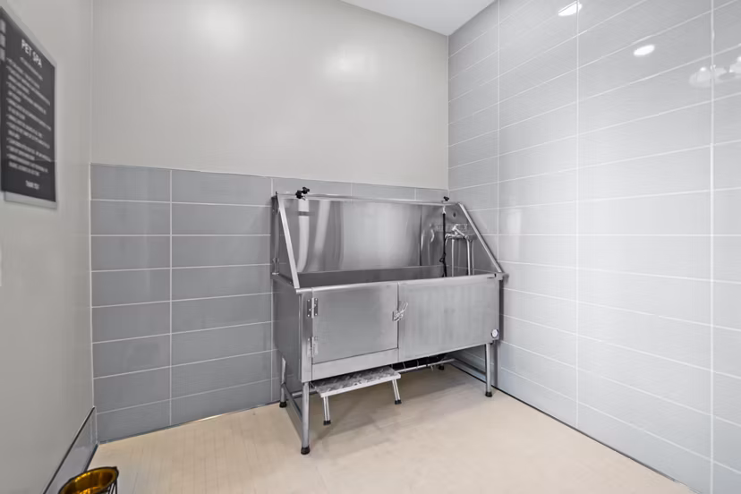 dog wash station at The Pointe at Lakewood Ranch Apartments 