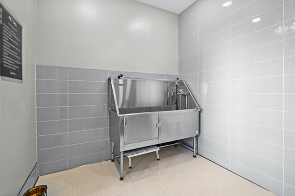 dog wash station at The Pointe at Lakewood Ranch Apartments 