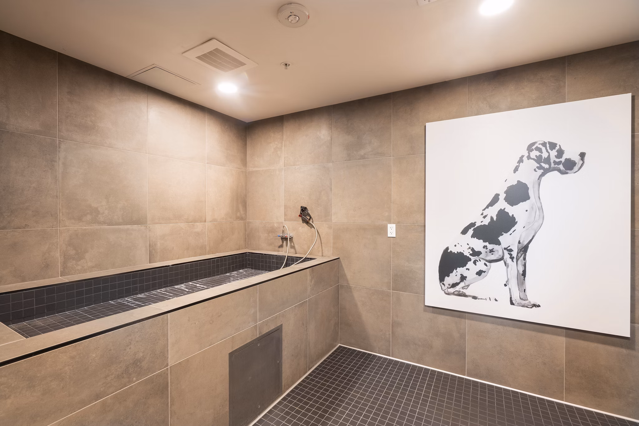 Convenient dog wash station at Prado Apartments, designed for pet care in a luxury apartment setting