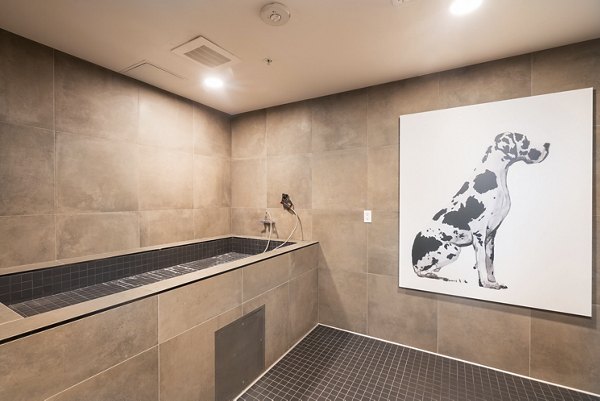 Convenient dog wash station at Prado Apartments, designed for pet care in a luxury apartment setting