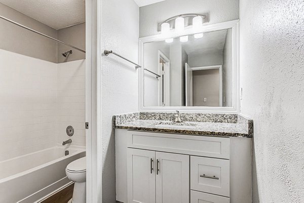 Modern bathroom with sleek fixtures at Hairston Woods Apartments, offering luxurious amenities in a serene setting