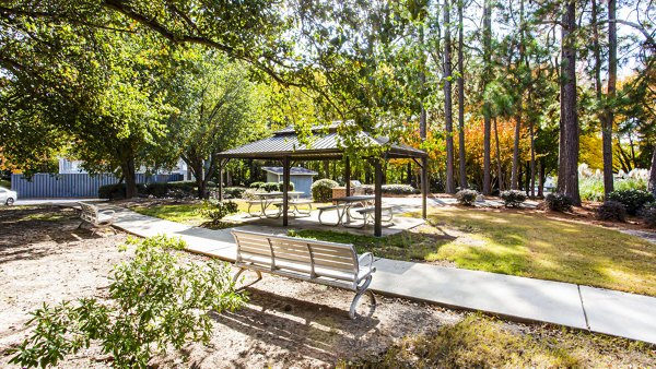 grill area/patio at Hairston Woods Apartments