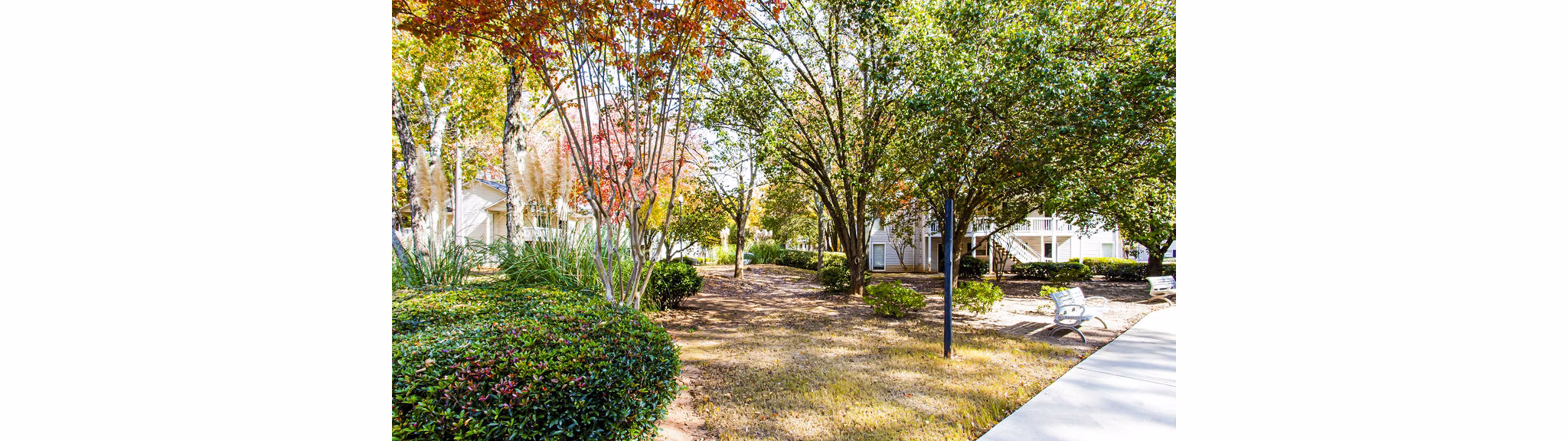Tranquil courtyard with seating and lush greenery at Hairston Woods Apartments, providing a peaceful outdoor space for residents