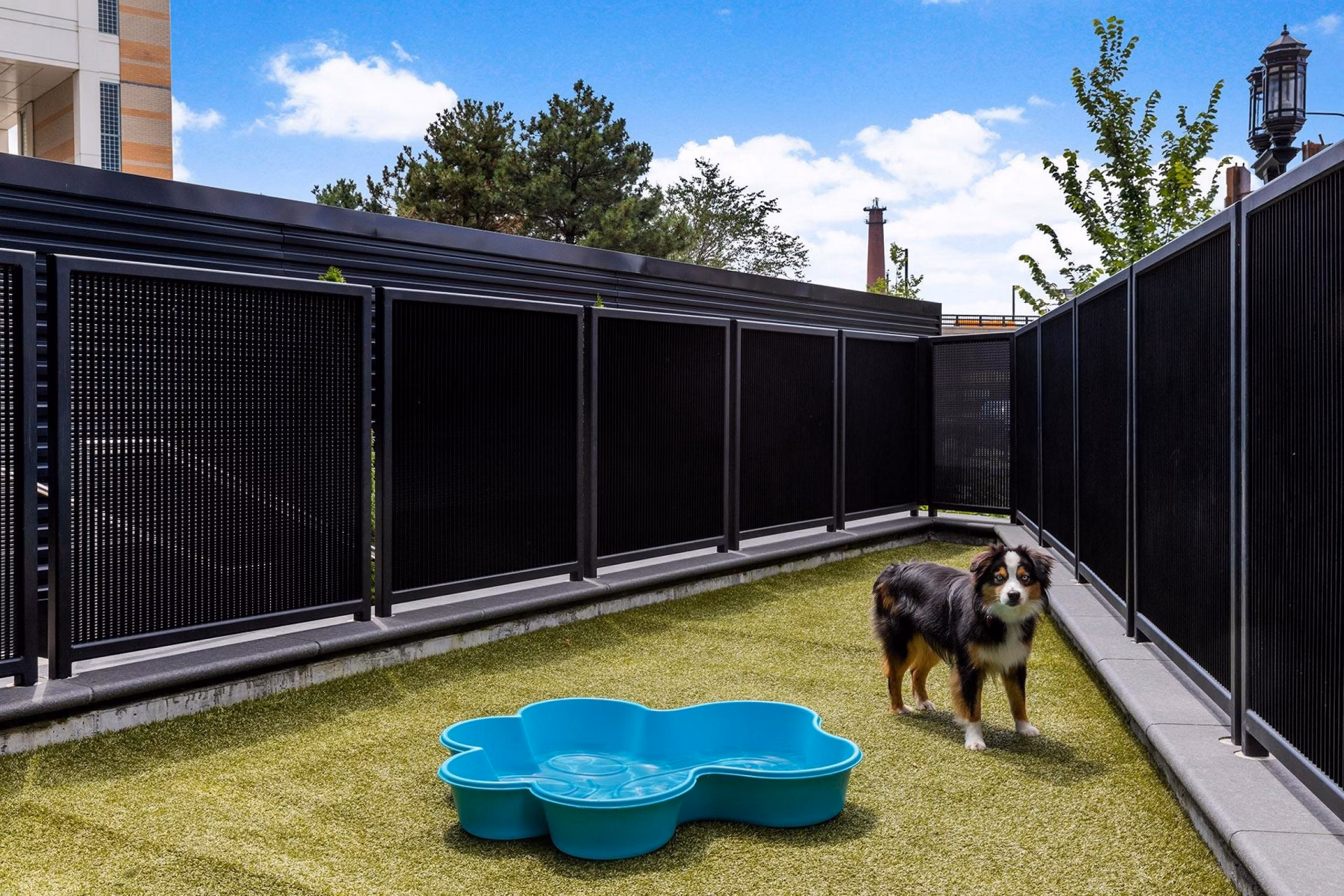 Spacious dog park at The Metlo Apartments featuring agility equipment and pet-friendly seating areas