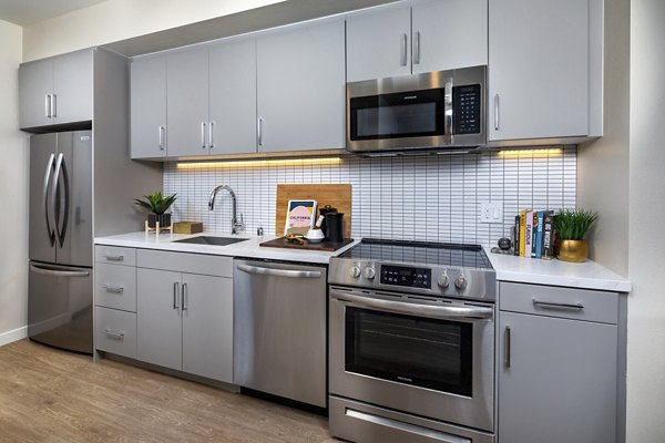 Modern kitchen with stainless steel appliances at Rae on Sunset Apartments, luxury living near Greystar's vibrant cityscapes