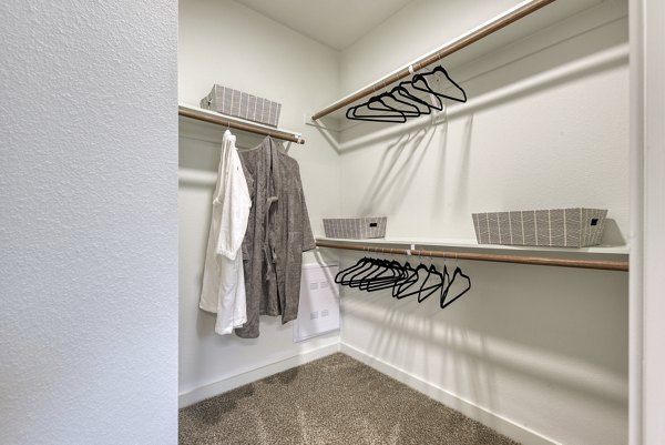 Spacious closet with ample shelving in Tacara Gruene Apartments, offering stylish storage solutions in luxury Greystar living