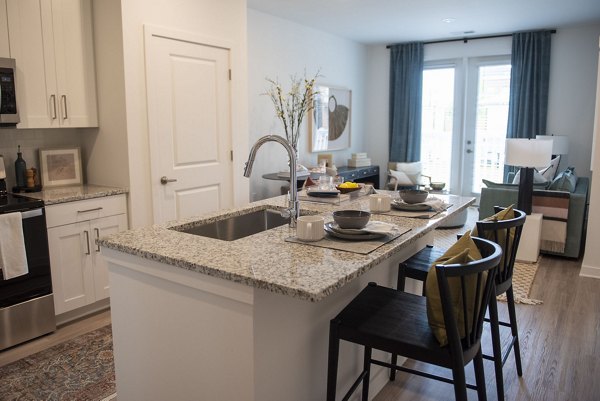Modern kitchen with stainless steel appliances at The Whitby luxury apartments, Greystar property