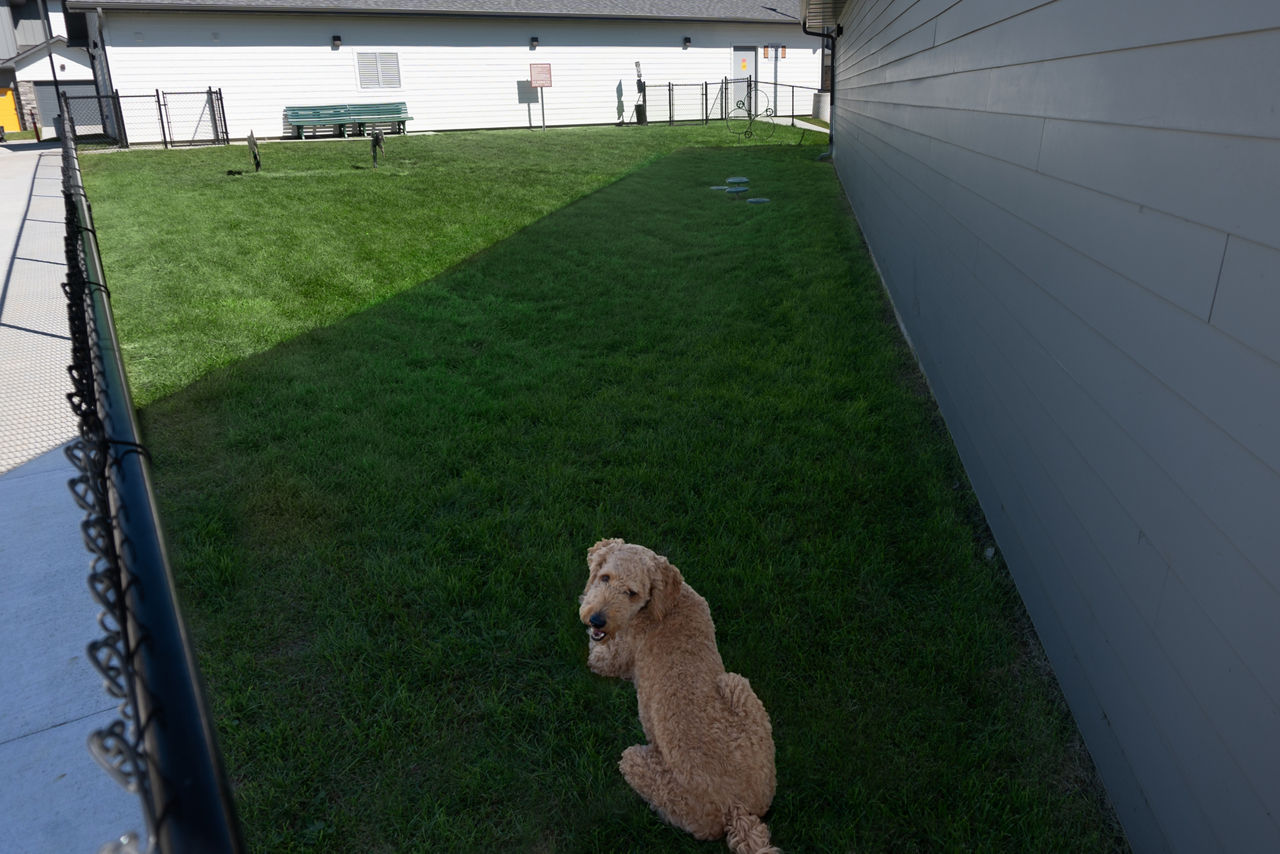 Dog park at Vestara 72 (1 of 2)