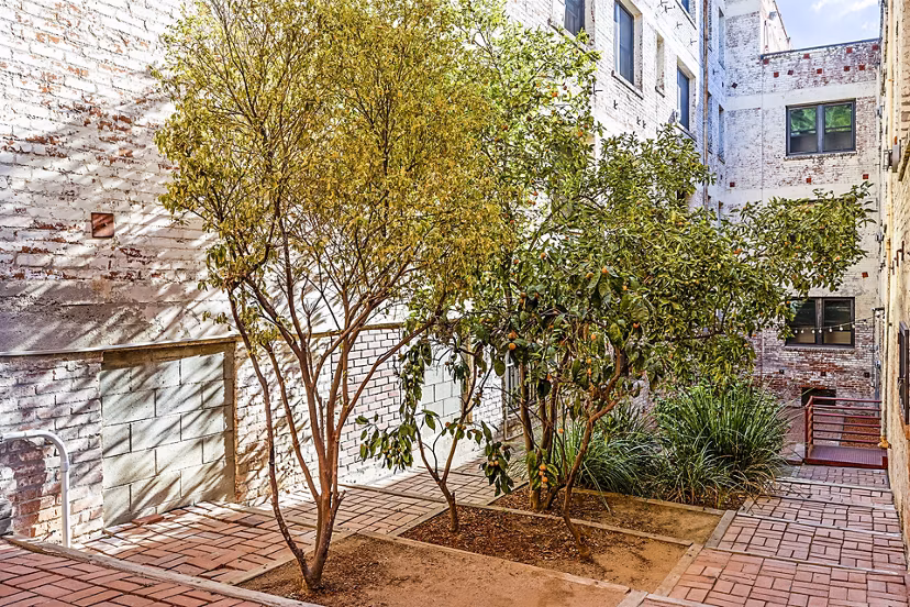 Tranquil garden patio with lush greenery at Del Mor Apartments, offering luxury outdoor space in the heart of the city
