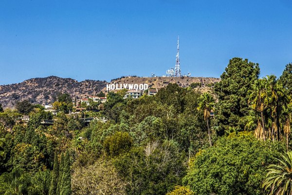 view at North Kingsley Apartments