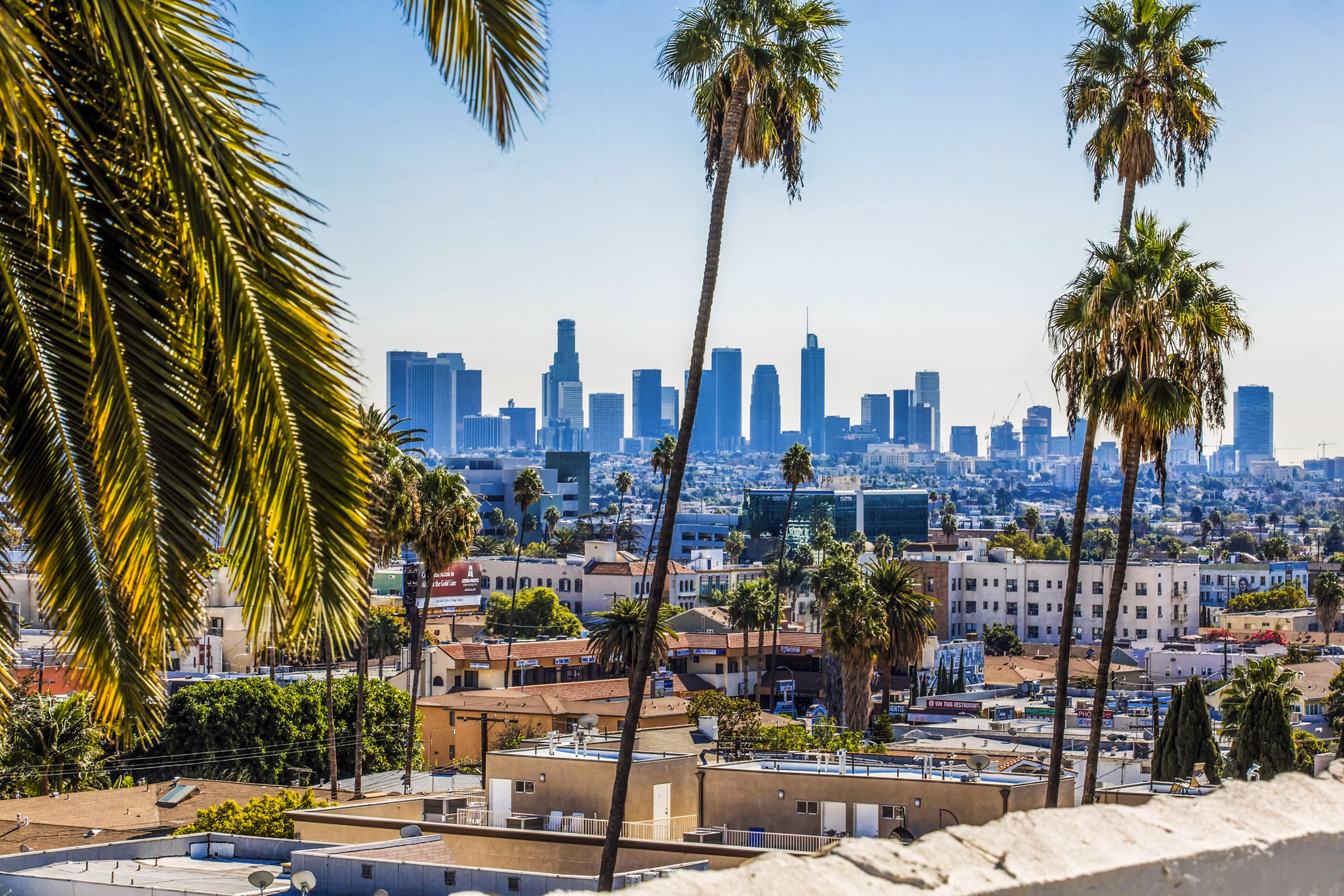 North Kingsley Apartments: Scenic view from classic luxury apartments in a serene neighborhood