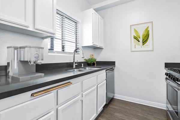 Modern kitchen with stainless steel appliances at Nova Townhomes Apartments ÎµÎ¾hibiting spacious layout and sleek design