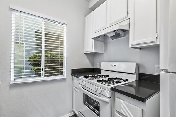 Modern kitchen with sleek stainless steel appliances in Nova Townhomes Apartments