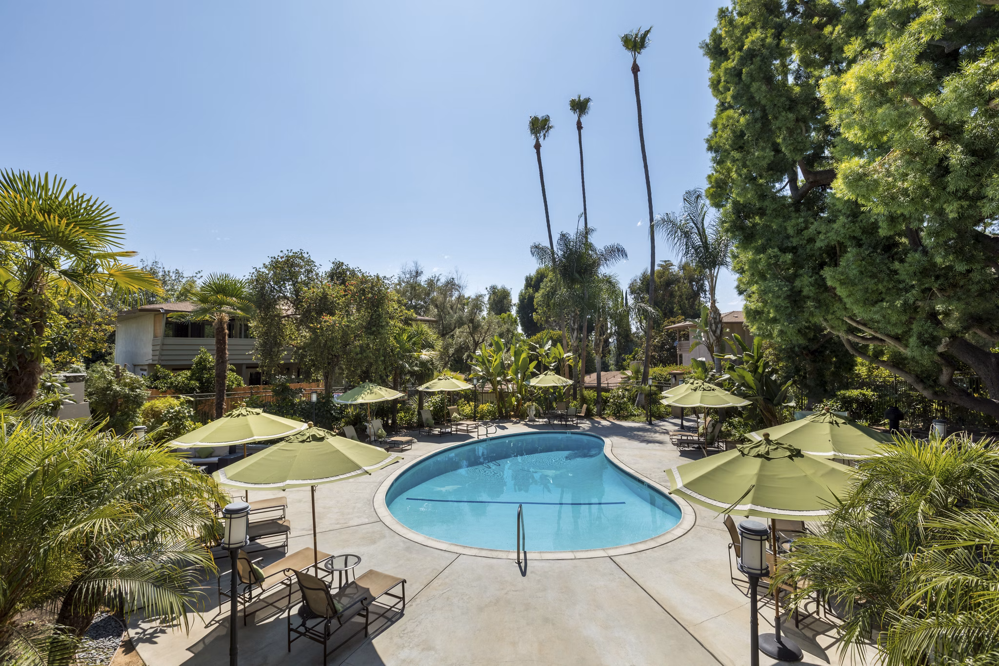Luxurious pool area at Orange Grove Circle Apartments, a Greystar property