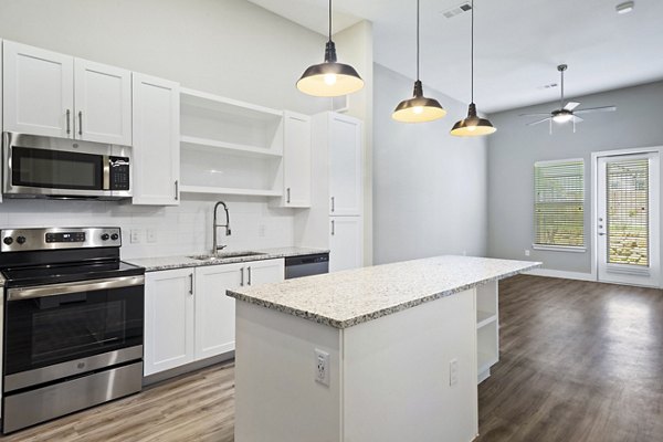 Contemporary kitchen with modern appliances at The Gin Mill Apartments, ideal for luxury living in a vibrant community