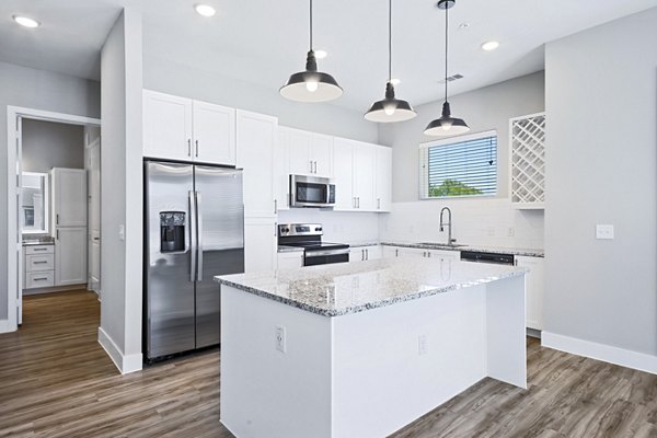 Sleek kitchen with stainless steel appliances at The Gin Mill Apartments