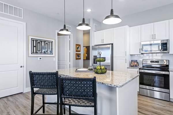 Elegant kitchen with modern appliances and sleek countertops at The Gin Mill Apartments, perfect for luxury living in a stylish setting