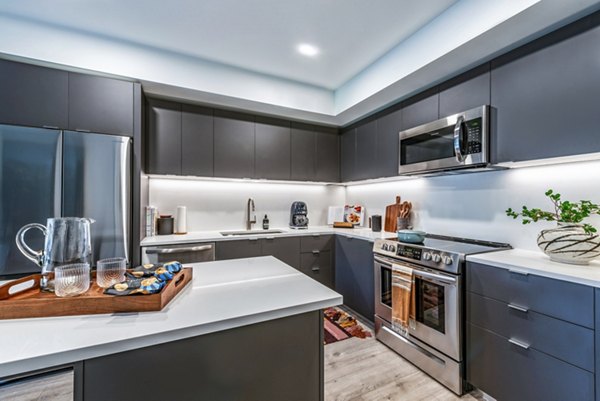 Modern kitchen featuring dark cabinets and stainless steel appliances with a white countertop in luxury apartments