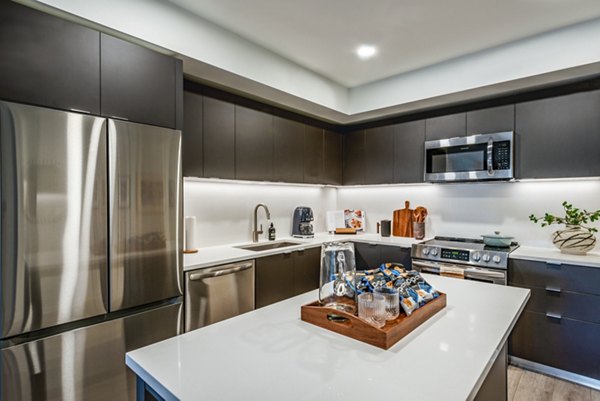 Modern kitchen with dark cabinets and stainless steel appliances in luxury apartments