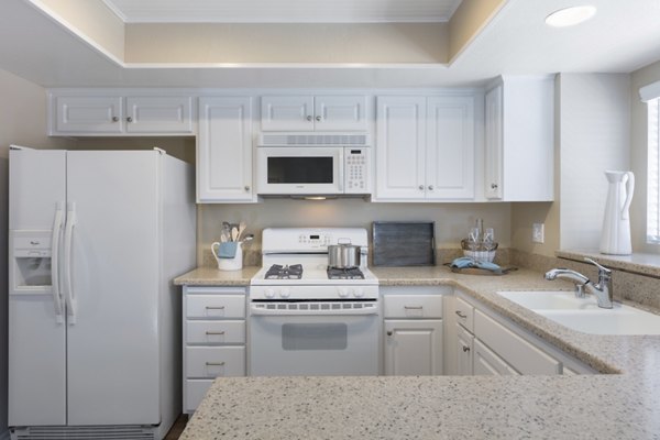 Modern kitchen with stainless steel appliances and granite countertops in Barcelona Apartments
