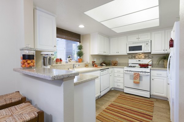 Modern kitchen with stainless steel appliances at Barcelona Apartments luxury residences