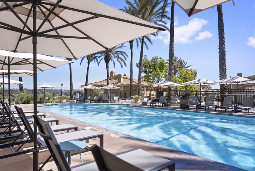 Luxury pool with sun loungers at Barcelona Apartments, featuring modern design and lush landscaping in a vibrant community setting