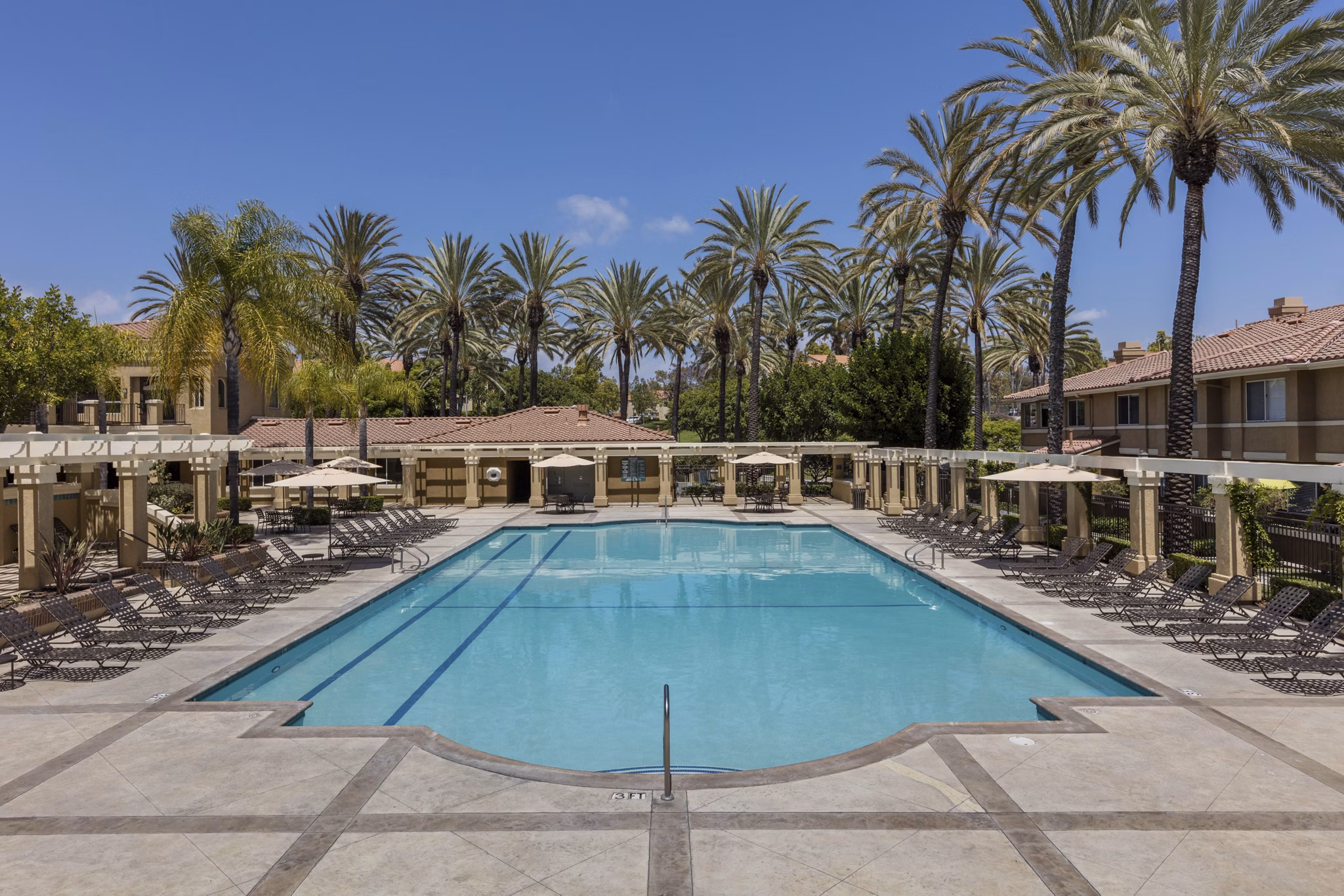 Luxury pool with sun loungers at Barcelona Apartments, featuring modern design and lush landscaping in a vibrant community setting