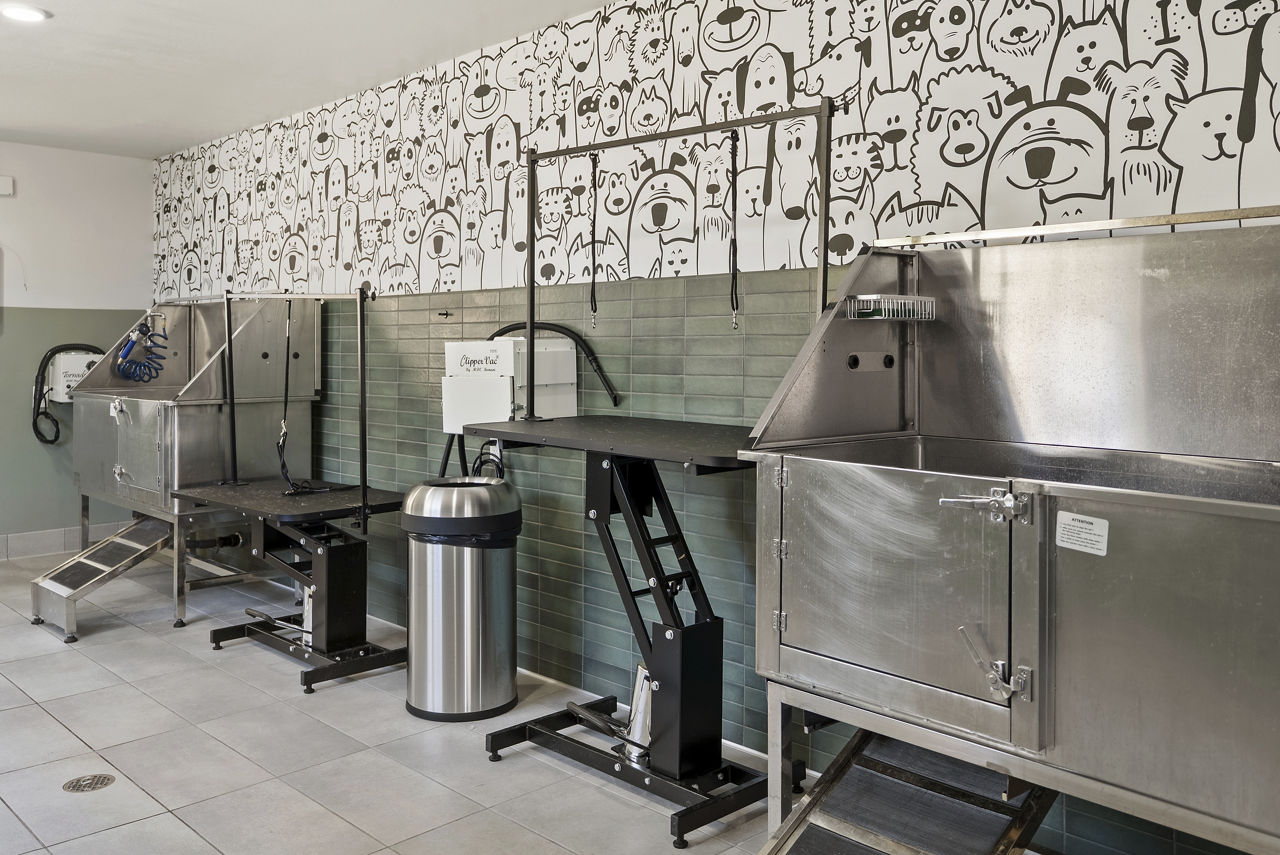 Arta Apartments Aliso Viejo Ca 13 of 25