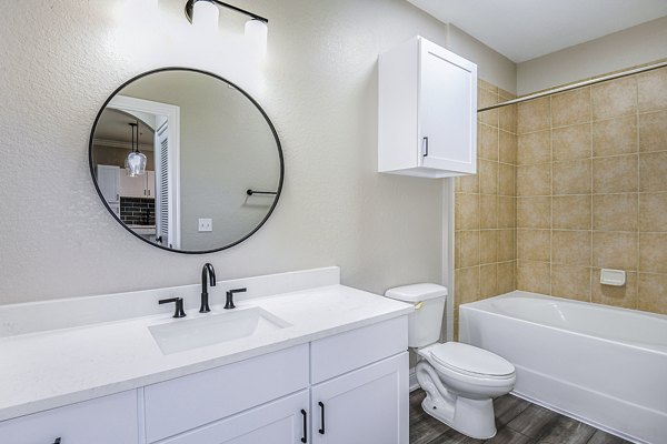 Modern bathroom with sleek fixtures at The Village at Lake Lily Apartments