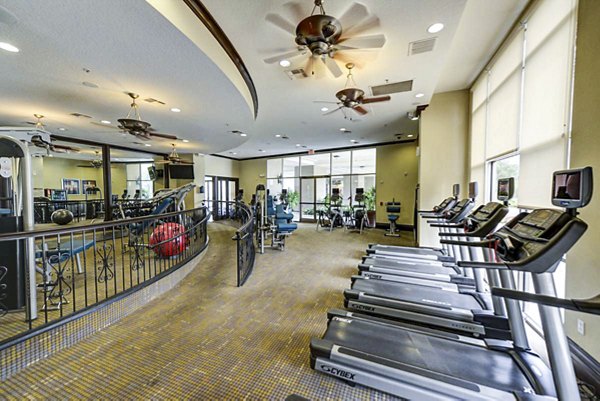 Modern fitness center with state-of-the-art equipment at The Village at Lake Lily Apartments