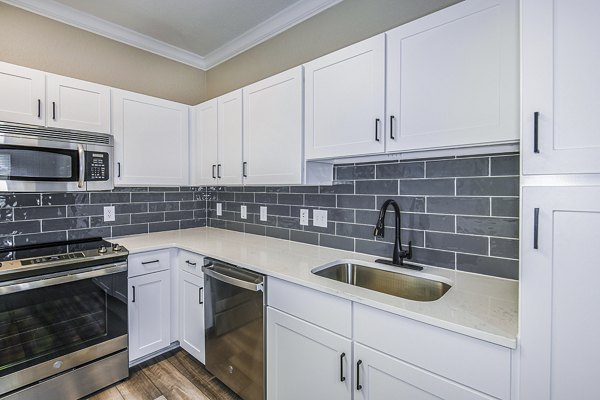 Modern kitchen with sleek countertops and stainless appliances at The Village at Lake Lily Apartments