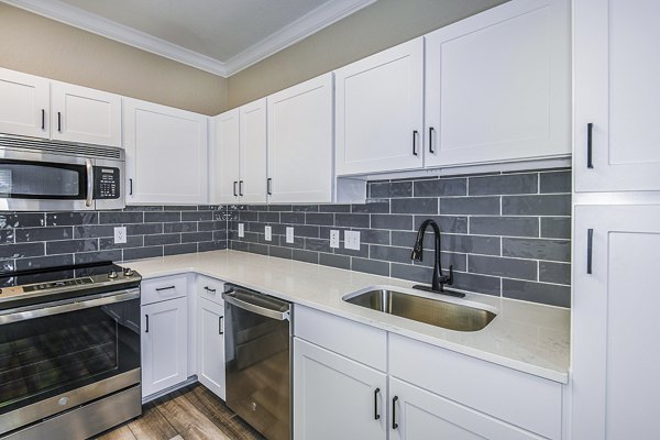 kitchen at The Village at Lake Lily Apartments