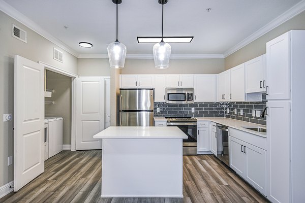 Modern kitchen with stainless steel appliances at The Village at Lake Lily Apartments