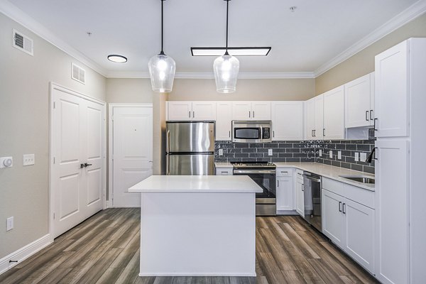 Modern kitchen with stainless steel appliances at The Village at Lake Lily Apartments