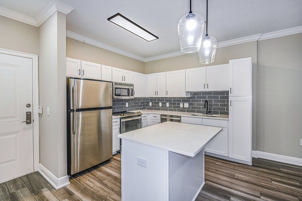 Modern kitchen with stainless steel appliances at The Village at Lake Lily Apartments