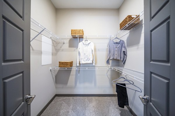 bedroom closet at Sterling at Stonecrest Apartments