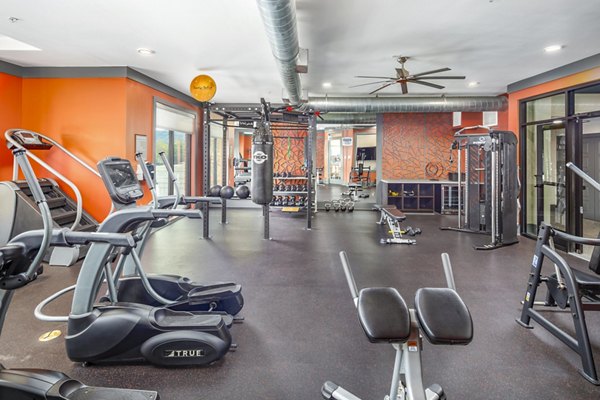 Modern fitness center with state-of-the-art equipment at Sterling at Stonecrest Apartments