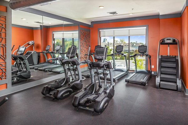 State-of-the-art fitness center at Sterling at Stonecrest Apartments offering modern gym equipment and wellness facilities