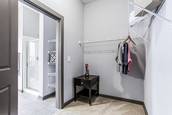 bedroom closet at 550 Northridge Apartments