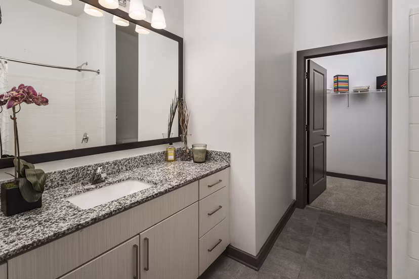 bathroom at 550 Northridge Apartments
