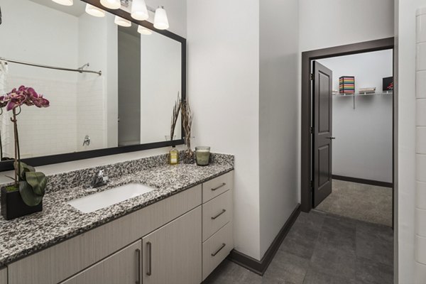 bathroom at 550 Northridge Apartments