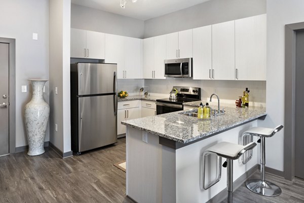 kitchen at 550 Northridge Apartments