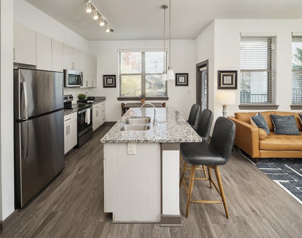 kitchen at 550 Northridge Apartments