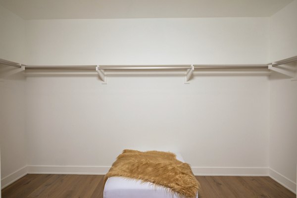 Closet with spacious shelving at The Alfred Apartments, perfect for organized luxury living