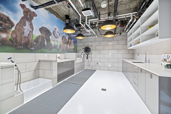 Convenient dog wash station at 400H Apartments, a Greystar luxury property