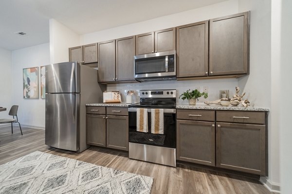 Modern kitchen with stainless steel appliances at Pringle Square Apartments, luxury living by Greystar