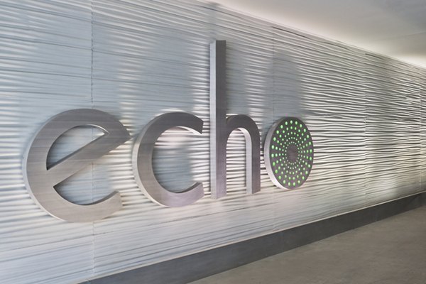 Decorative wall design featuring the word echo in luxury apartments